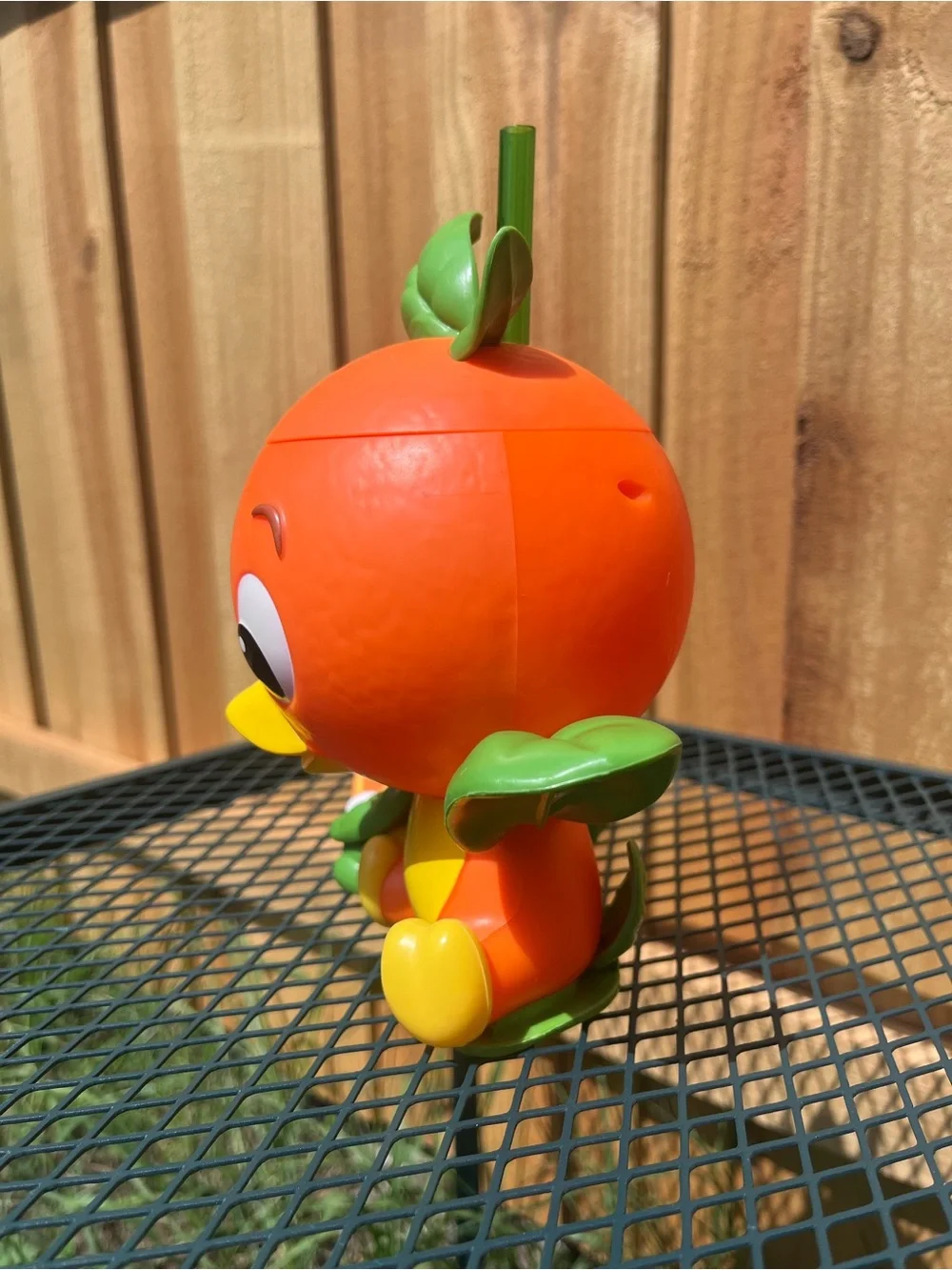 Disney leaf details